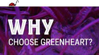 Why Choose Greenheart