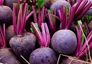 Beetroot, Organic, Lebanon