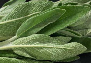 Sage, Organic