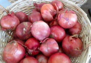Onion, red, Organic, India