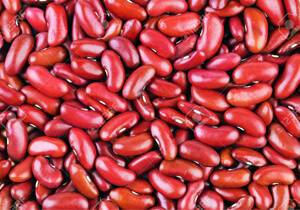 organic red kidney beans dried