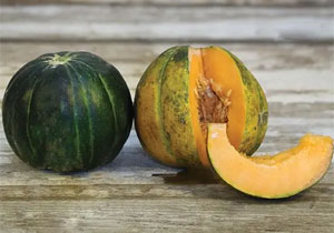 Melon, Cantaloupe, Heirloom 'Noir de Carmes', Organic 