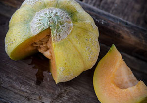 Melon, Heirloom 'Golden Jenny', Organic