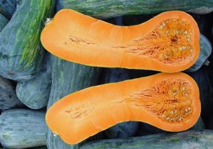 Pumpkin Lungadi Napoli