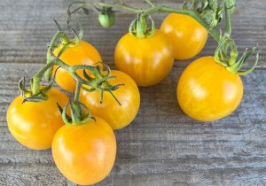 heirloom cherry tomatoes